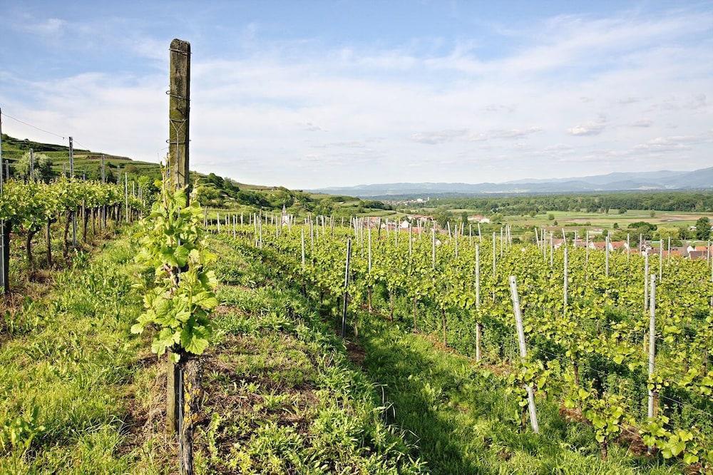 Hotel Winzerstube Ihringen Εξωτερικό φωτογραφία