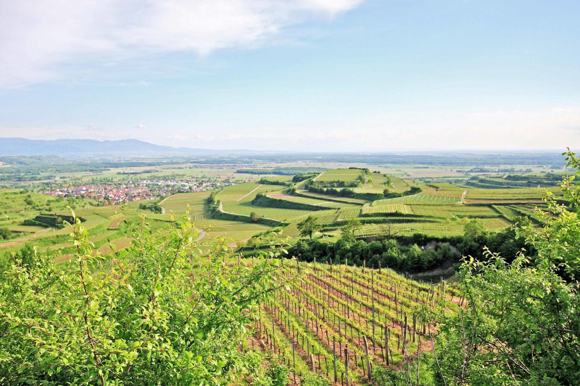 Hotel Winzerstube Ihringen Εξωτερικό φωτογραφία